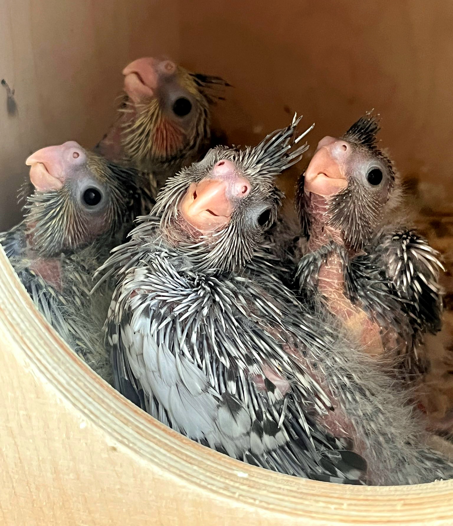 Malé perličky - 20.09.